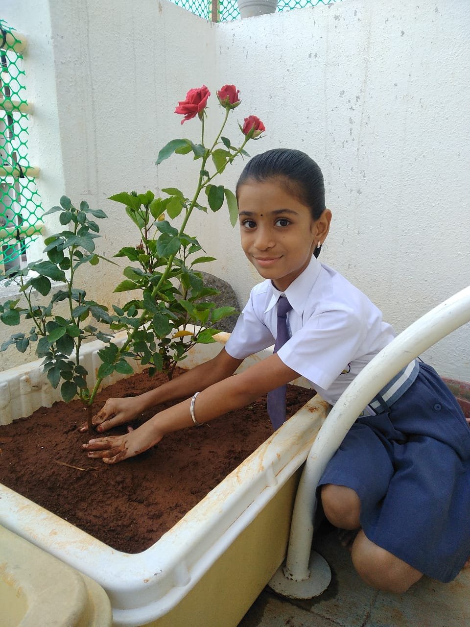 Activity image